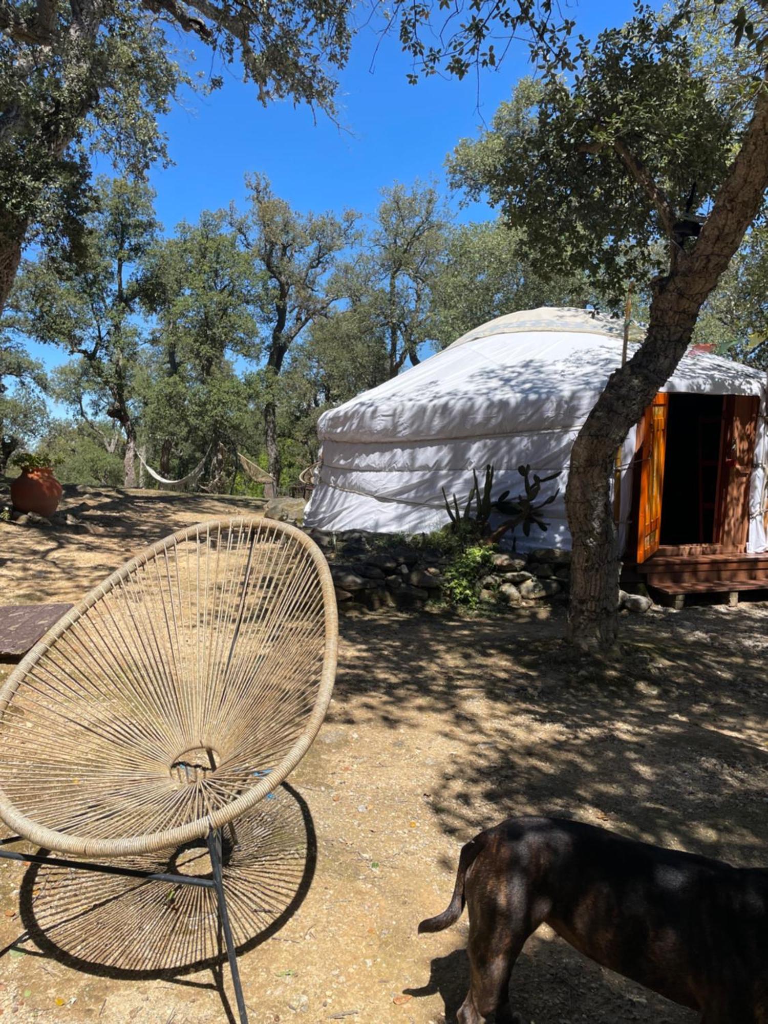 Bed and Breakfast Au Soleil Mongol Соред Экстерьер фото